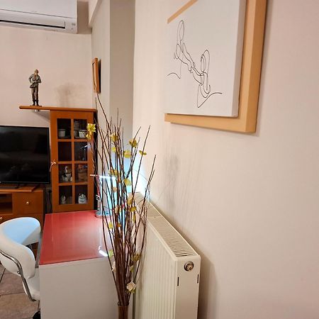 Απέριττον 2 Lägenhet Tríkala Exteriör bild